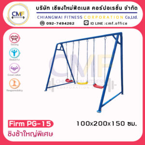 Firm-PG-15 ชิงช้าใหญ่พิเศษ