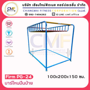 Firm-PG-24 อุปกรณ์บาร์โหนปีนป่าย